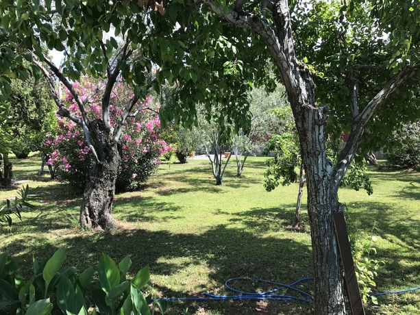 Imagen de los exteriores del Palm Beach Otel. Foto 13