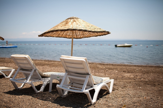 Imagen de los exteriores del Palm Beach Otel. Foto 16