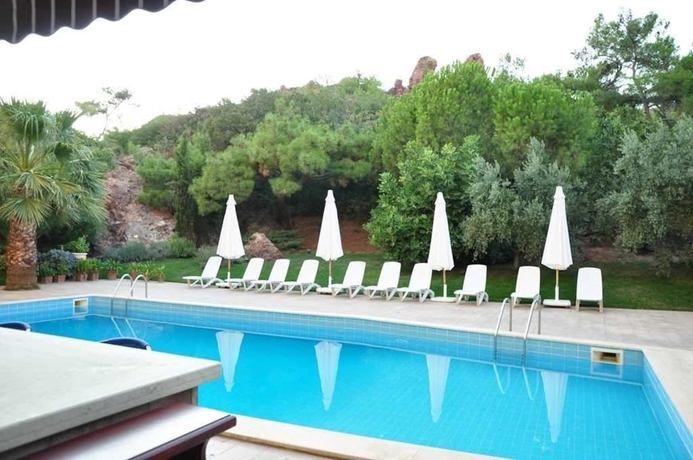 Imagen de la piscina del Palm Court Suites. Foto 17