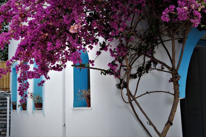 Imagen general del Palma Hotel, Bodrum. Foto 2