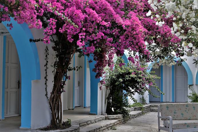 Imagen general del Palma Hotel, Bodrum. Foto 3