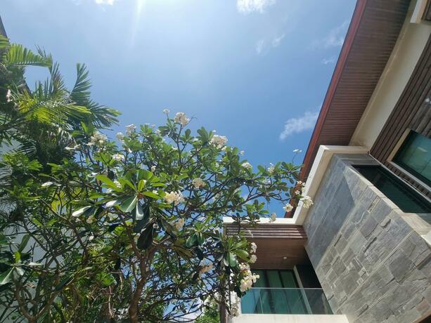 Imagen general del Palmeraie Beach Resort Rayong. Foto 36