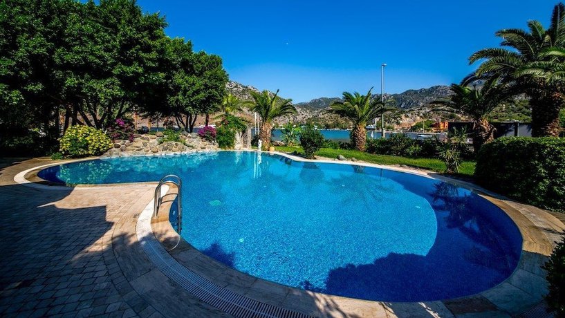 Imagen de la piscina del Palmetto Resort Hotel. Foto 17