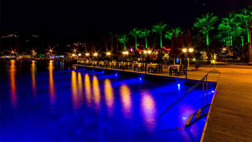 Imagen de la piscina del Palmetto Resort Hotel. Foto 18