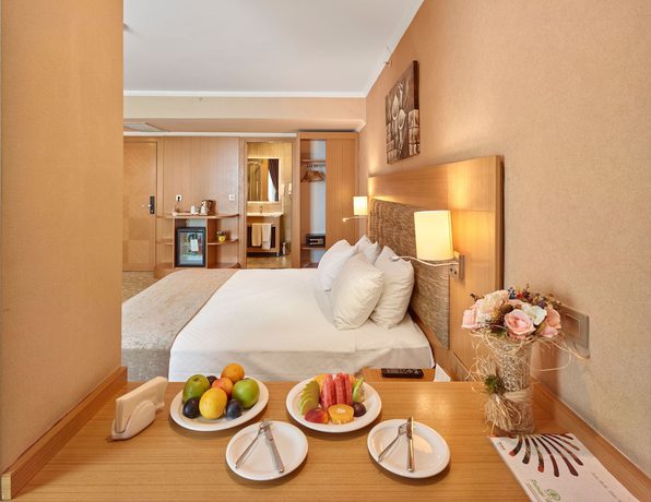 Imagen de la habitación del Palmiye Hotel Gaziantep. Foto 3