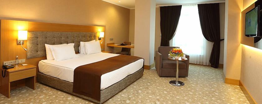 Imagen de la habitación del Palmiye Hotel Gaziantep. Foto 6