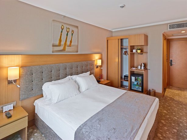 Imagen de la habitación del Palmiye Hotel Gaziantep. Foto 13
