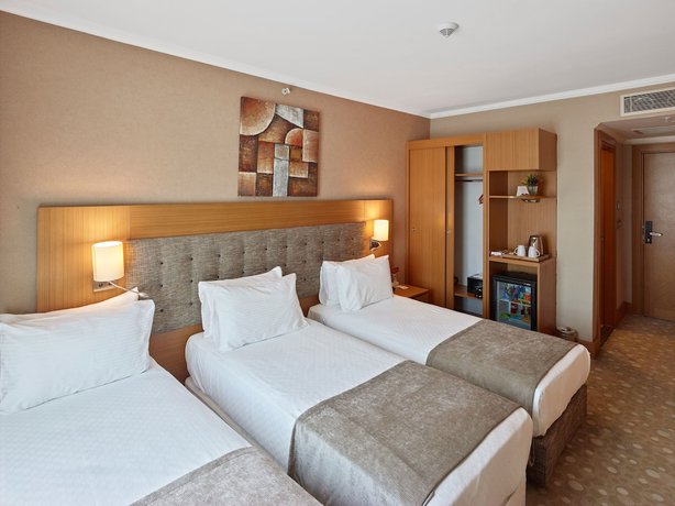 Imagen de la habitación del Palmiye Hotel Gaziantep. Foto 14