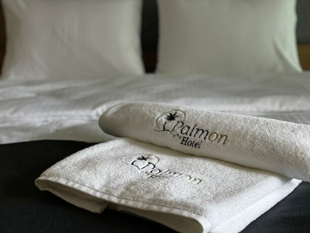 Imagen de la habitación del Palmon Hotel. Foto 18