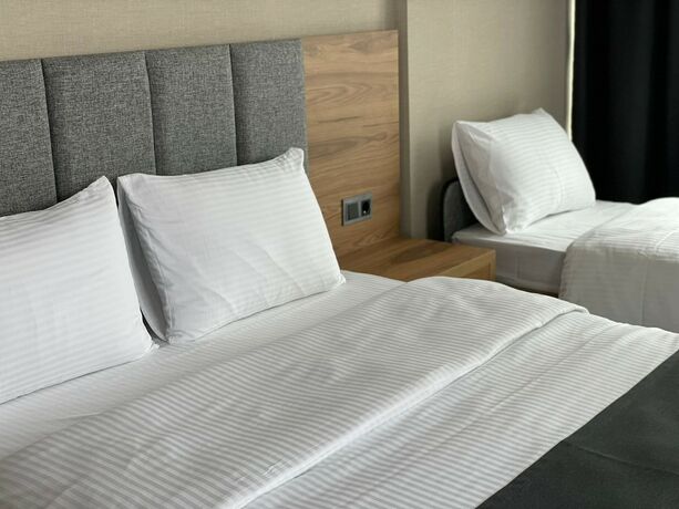 Imagen general del Palmon Hotel. Foto 2