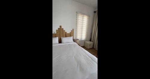 Imagen general del Palolem Sea view Cottages & Rooms. Foto 17