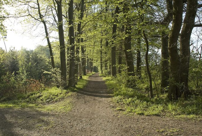 Imagen general del Panorama Hotel, Glashütten. Foto 2