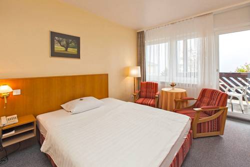Imagen de la habitación del Panorama Hotel Oberwiesenthal. Foto 3