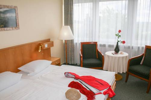 Imagen general del Panorama Hotel Oberwiesenthal. Foto 1