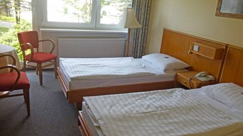 Imagen de la habitación del Panorama Hotel Oberwiesenthal. Foto 6
