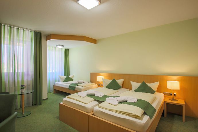 Imagen de la habitación del Panorama Hotel Winterberg. Foto 7