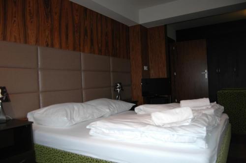 Imagen de la habitación del Panorama, Okuninka. Foto 5
