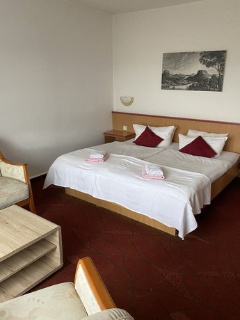 Imagen de la habitación del PanoramaHotel Lilienstein. Foto 9