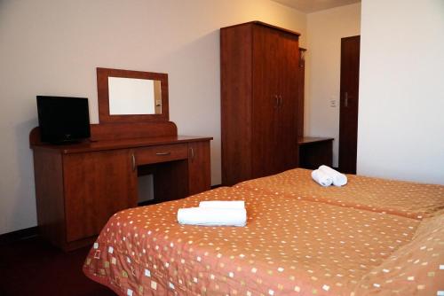 Imagen de la habitación del Panorama_SPA. Foto 5