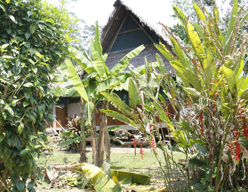 Imagen general del Paradise Amazon Tambopata Ecolodge. Foto 2