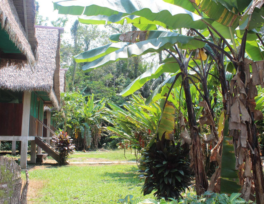 Imagen general del Paradise Amazon Tambopata Ecolodge. Foto 6