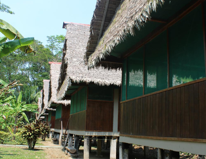 Imagen general del Paradise Amazon Tambopata Ecolodge. Foto 7
