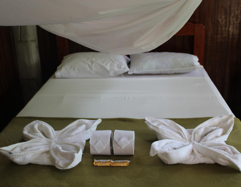 Imagen general del Paradise Amazon Tambopata Ecolodge. Foto 23