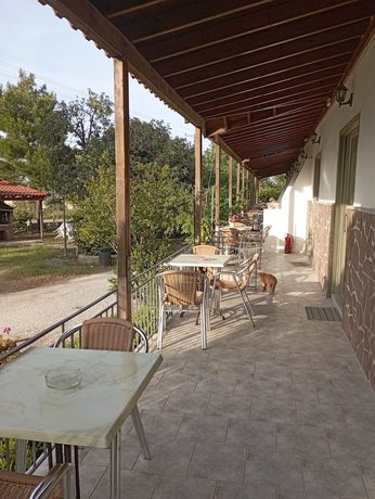 Imagen de la habitación del Paradisos studios. Foto 14