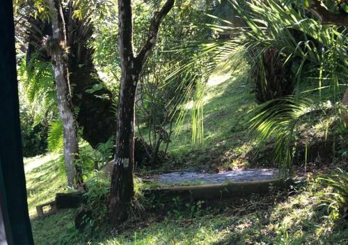 Imagen general del Para&iacute;so Hostel Praia do Rosa. Foto 5