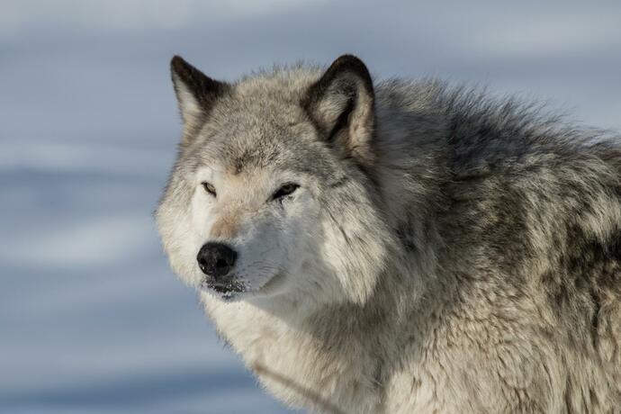Imagen general del Parc Omega. Foto 7
