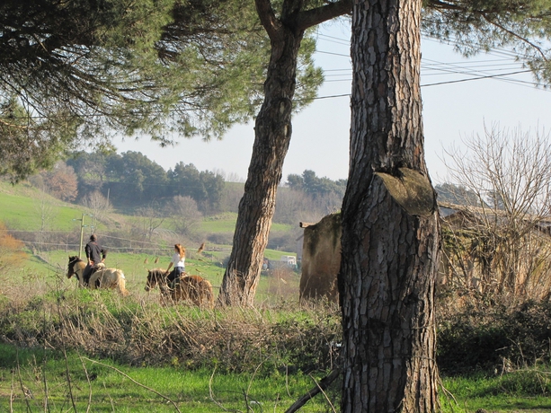 Imagen de los exteriores del Parco Delle Nazioni - Relax Grand Resort. Foto 6