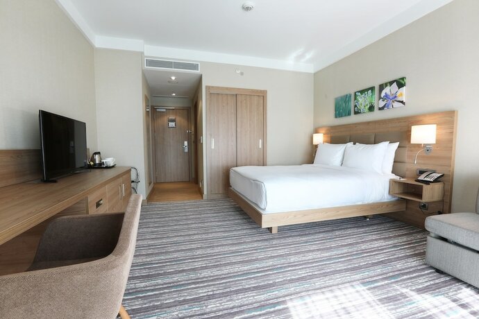 Imagen de la habitación del Park Dedeman Adıyaman. Foto 17