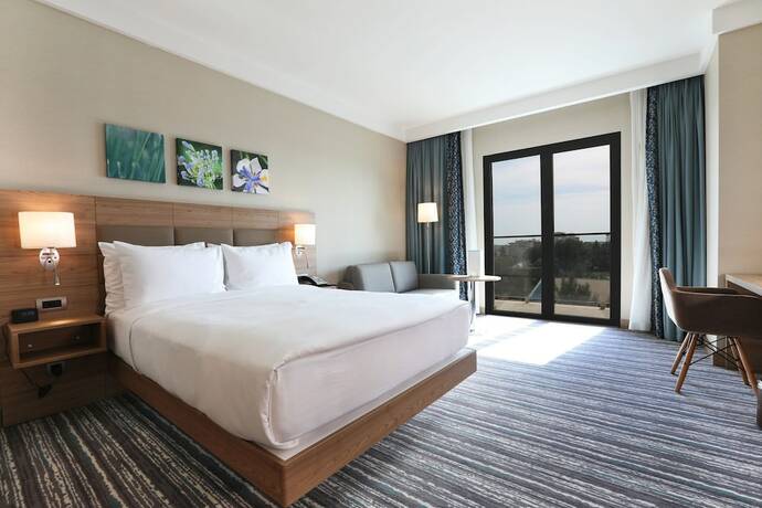 Imagen de la habitación del Park Dedeman Adıyaman. Foto 20