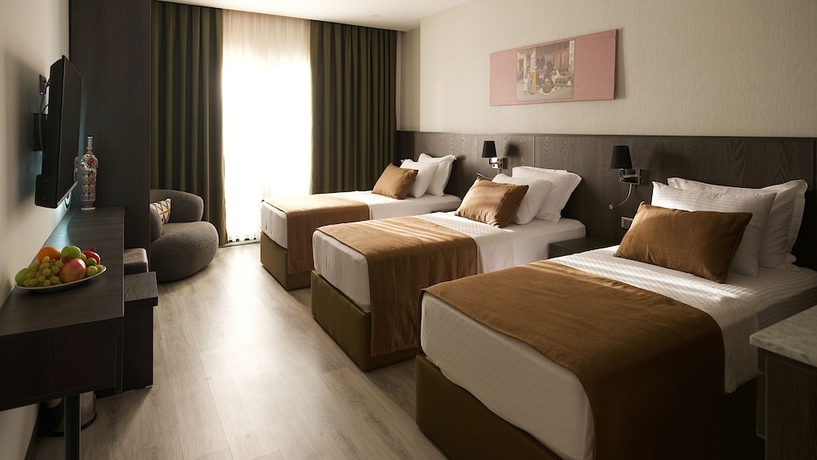 Imagen de la habitación del Park Dedeman Midyat. Foto 9