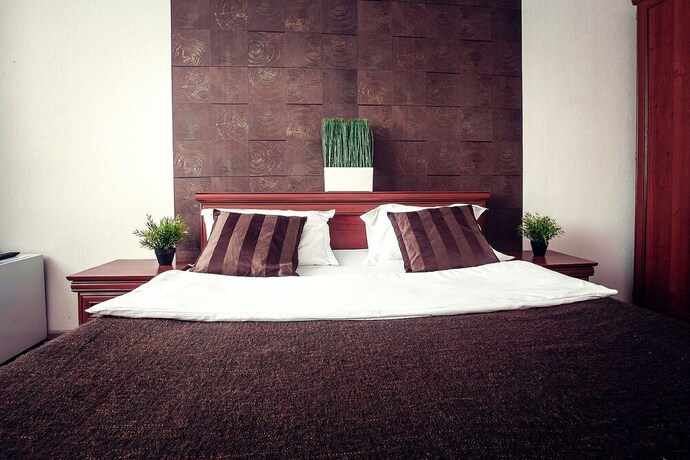 Imagen de la habitación del Park Hotel Shishka. Foto 9