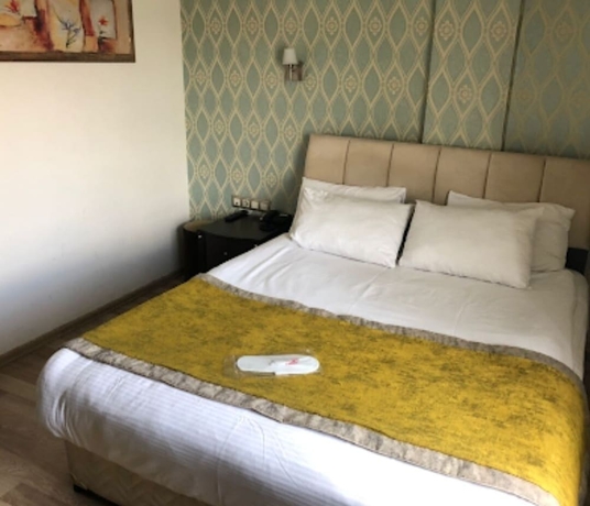 Imagen de la habitación del Park Otel, Melikgazi. Foto 4