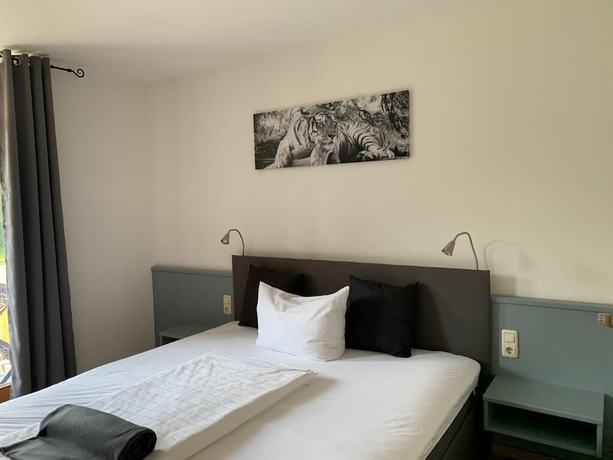 Imagen de la habitación del Parkhotel Cham. Foto 6