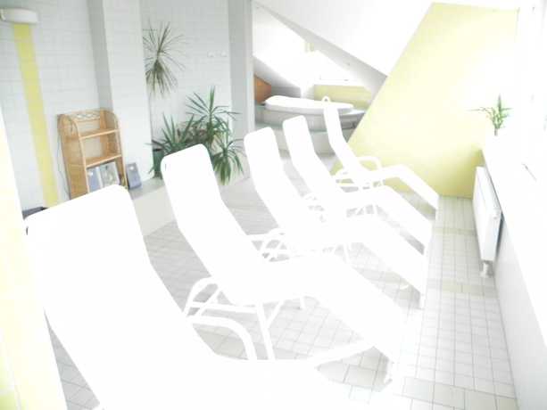 Imagen de la piscina del Parkhotel Cham. Foto 17