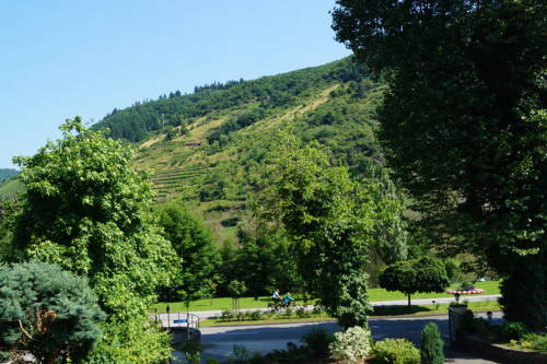 Imagen de la habitación del Parkhotel Cochem. Foto 13