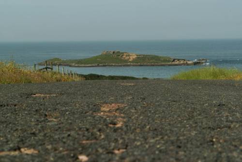 Imagen general del Parque De Campismo Da Ilha Do Pessegueiro. Foto 1