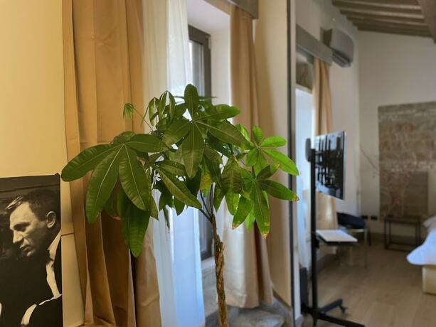 Imagen de la habitación del Passpartout Boutique Palace. Foto 15