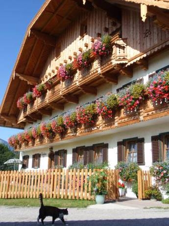 Imagen general del Paulbauer. Foto 11