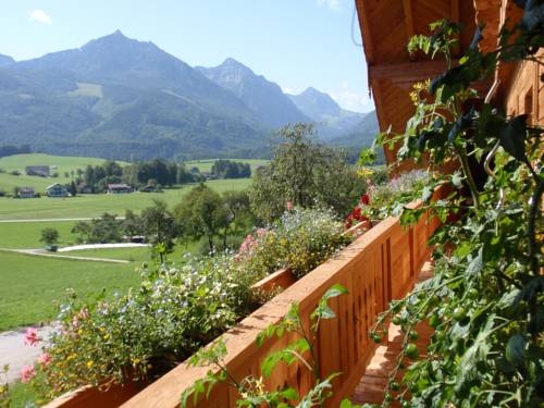 Imagen general del Paulbauer. Foto 30