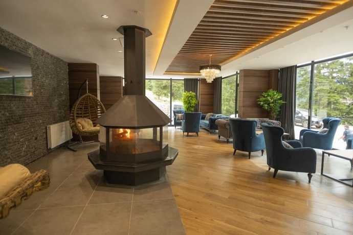 Imagen de los interiores del Pazarcik Mountain Hotel. Foto 20