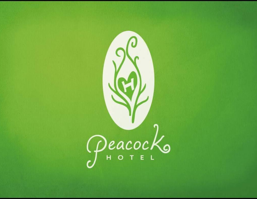 Imagen general del Peacock Hotel, Daxi. Foto 23