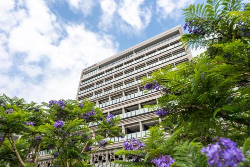 Imagen general del Pearl Star Hotel ATAMI. Foto 12