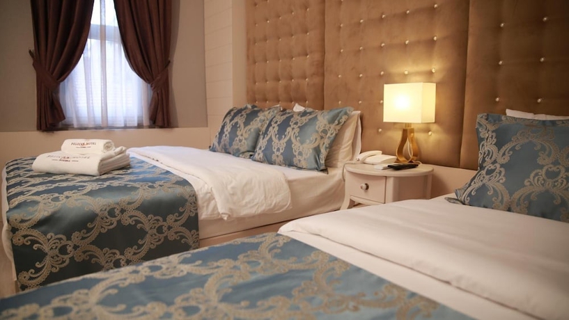 Imagen de la habitación del Pelican House Hotel. Foto 12