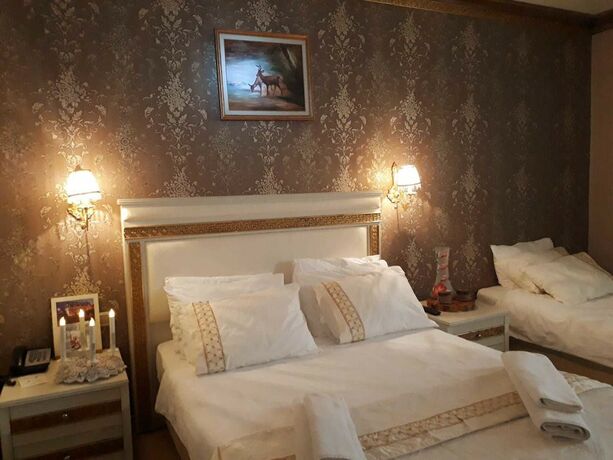 Imagen de la habitación del Pelikan Otel. Foto 19