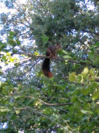 Imagen general del Pensión Rural Arroyo la Teja. Foto 4