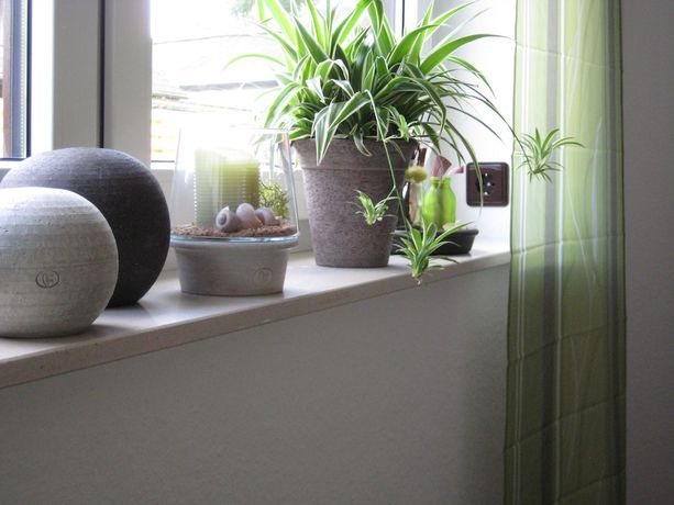 Imagen de la habitación del Pension Dalinghaus. Foto 2